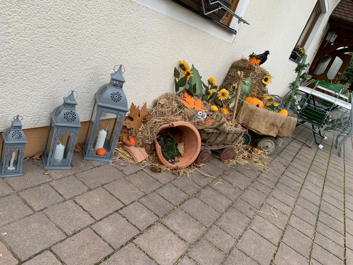Hotel Hohe Tanne à Auerbach in der Oberpfalz Extérieur photo